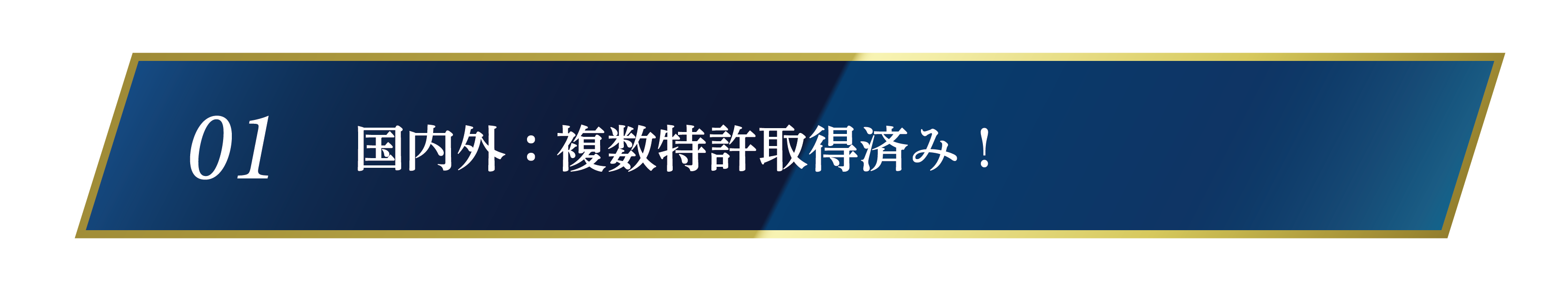 JP：第6894033号、EP：3926568、US：2021-0390557 A1